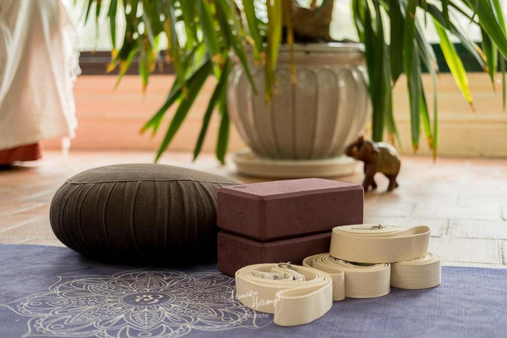 Clos Du Bois Brard B&B ソミュール エクステリア 写真