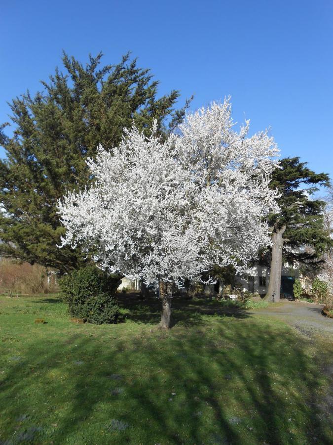 Clos Du Bois Brard B&B ソミュール エクステリア 写真